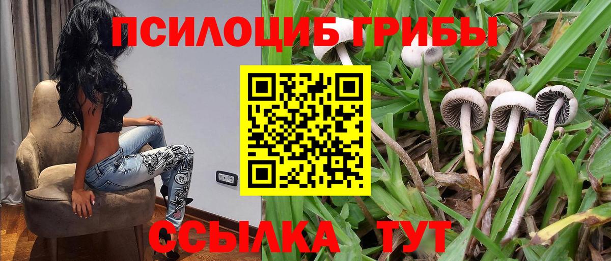 Галлюциногенные грибы Cubensis  Вход с VPN  где можно купить наркотик  Кыштым 