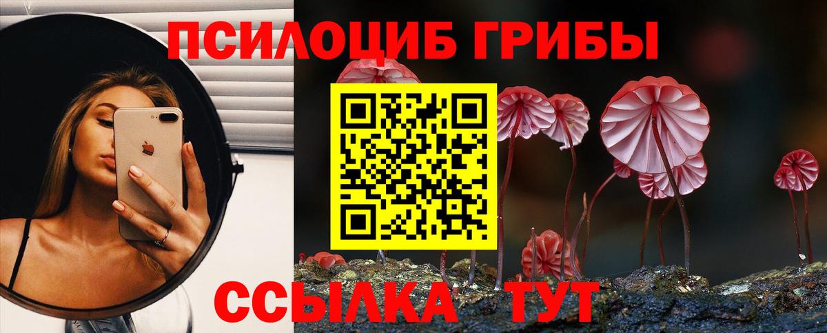 Галлюциногенные грибы Psilocybine cubensis Кыштым